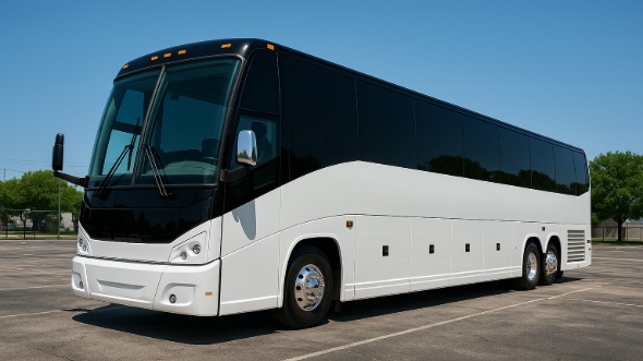 40 passenger party bus