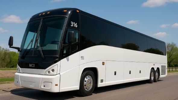 baytown bachelor and bachelorette party bus rentals