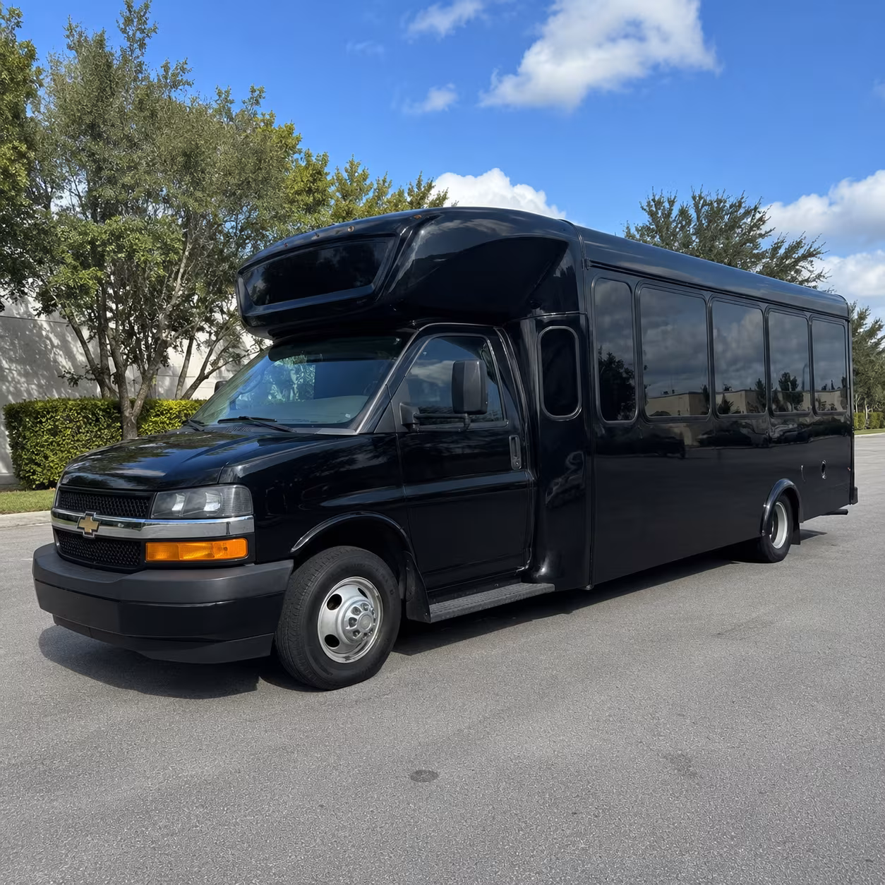 Group beside a Mercedes Sprinter limo in Pearland