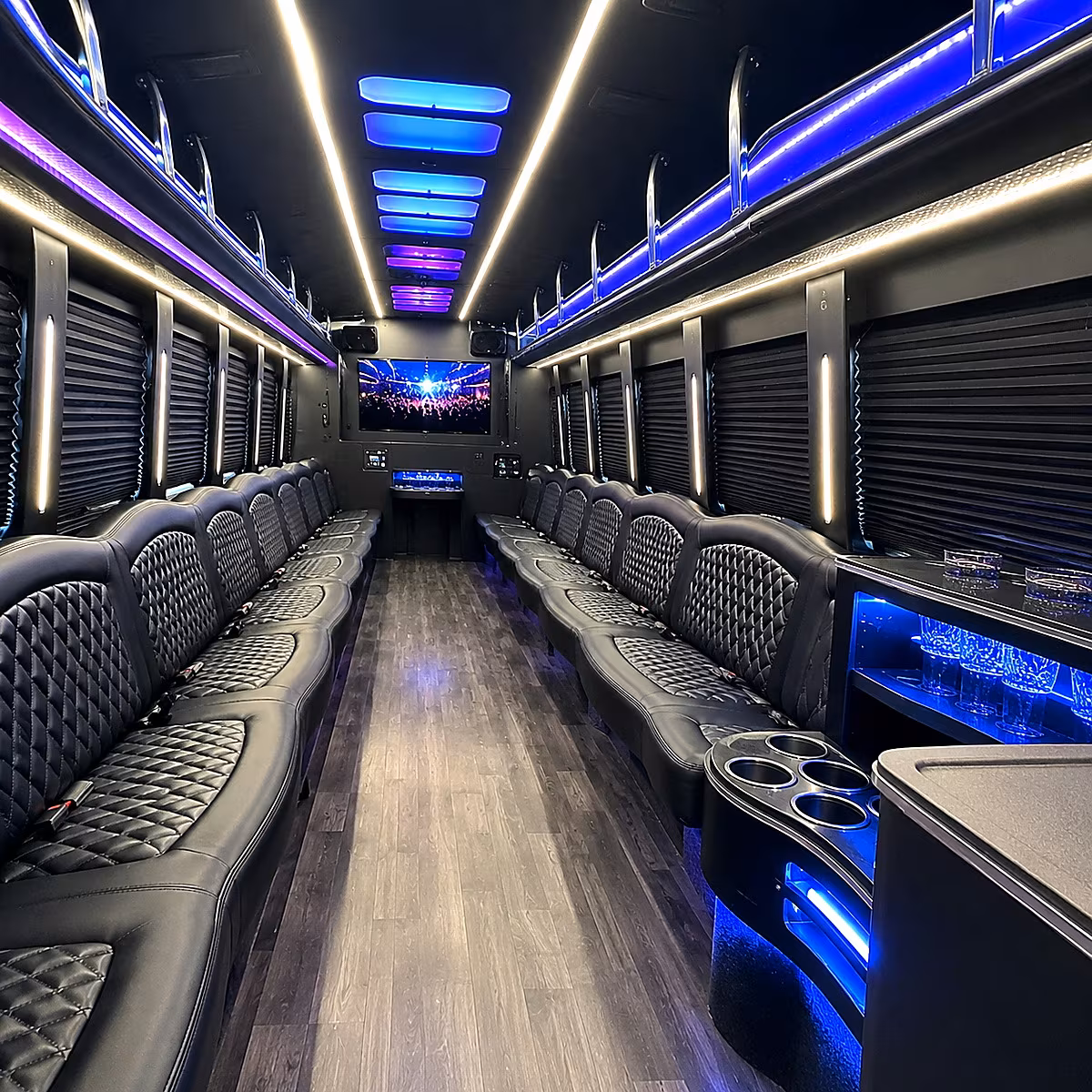 Pearland Winery Tour & Pub Crawl Transportation party bus interior