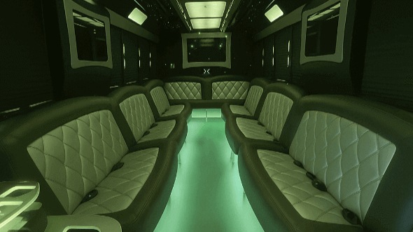 sugar land 20 passenger party bus