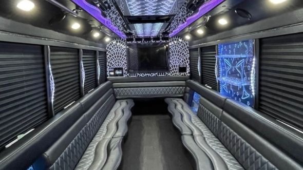the woodlands 20 passenger party bus